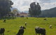 Glenmurray Country Farm Stay! - thumb 0