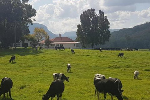 Glenmurray Country Farm Stay! - Accommodation Burleigh 0