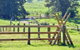 Glenmurray Country Farm Stay! - thumb 4