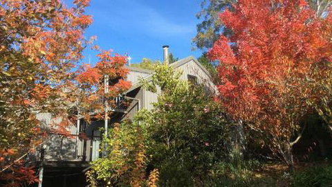 Cloudsong Chalet 4 Close To The Village Centre! - Accommodation Burleigh 2