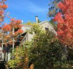 Cloudsong Chalet 4 Close to the village centre - Accommodation Burleigh