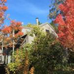 Cloudsong Chalet 4 Close To The Village Centre! - Accommodation Burleigh 0