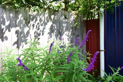 Lulu Hill Cottage Kangaroo Valley - Accommodation Burleigh 7