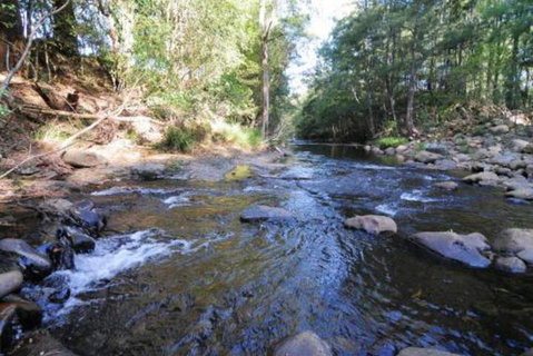 Willabrook Retreat Mojo Cottage Romantic Escape! - Accommodation Burleigh 5