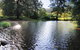 Willabrook Retreat Mojo Cottage Romantic Escape! - thumb 6