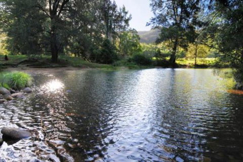 Willabrook Retreat Mojo Cottage Romantic Escape! - Accommodation Burleigh 6