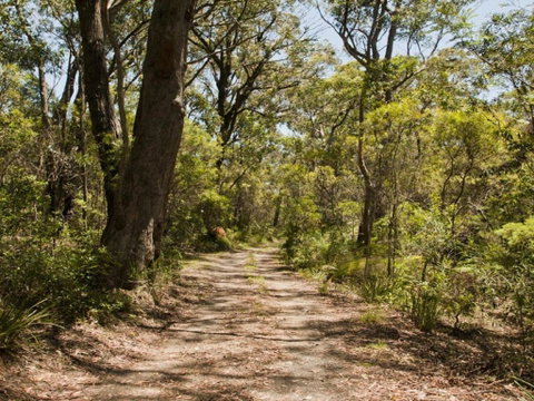 Riverbend 5 Acres Only 9km To Village - Accommodation Burleigh 3