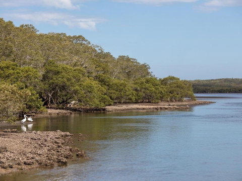 Rita Maes On The River Relax & Recharge - Accommodation Burleigh 3