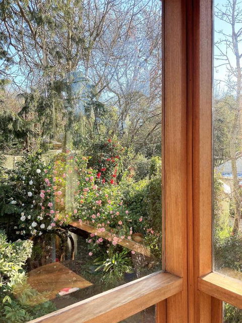 Adelaide Hills Camellia Cottage WiFi - Accommodation Burleigh 6
