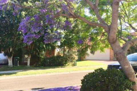 ULTRA SPACIOUS STYLISH HOME In PRESTONS SYDNEY - Accommodation Burleigh 7