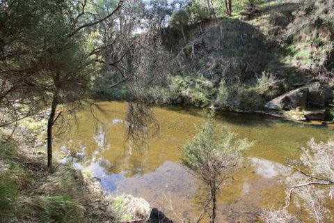 Alpine Streamside - Accommodation Burleigh 3