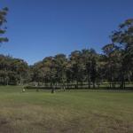 Mollymook NSW Accommodation Burleigh