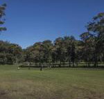 Championship Golf Course on your Back Door - Accommodation Burleigh