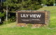 Lilyview Cottage - Robertson - thumb 1