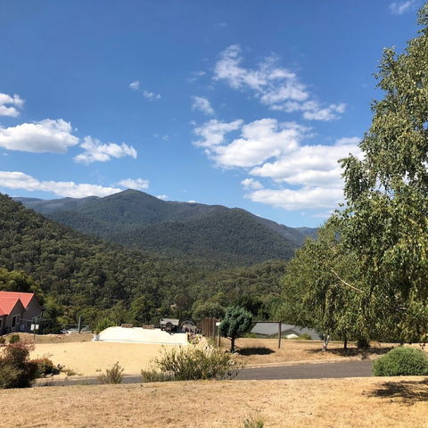 Alpine Stag Lodge House - Accommodation Burleigh 5