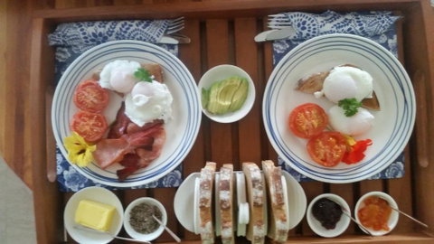 Beezneez B & B - Accommodation Burleigh 1