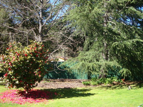 Ageri Holiday House - Accommodation Burleigh 3