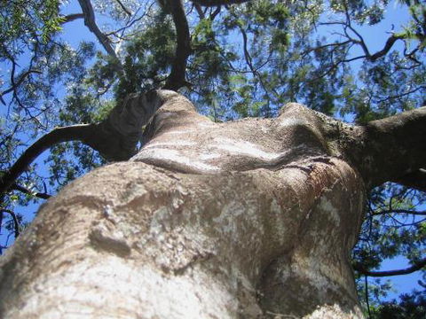 Arthur Riverfront & Sea Lodge Downstream - Accommodation Burleigh 4