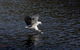 Arthur Riverfront & Sea Lodge Downstream - thumb 3