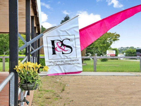 Misty Creek Of Robertson Proximity & Privacy - Accommodation Burleigh 3