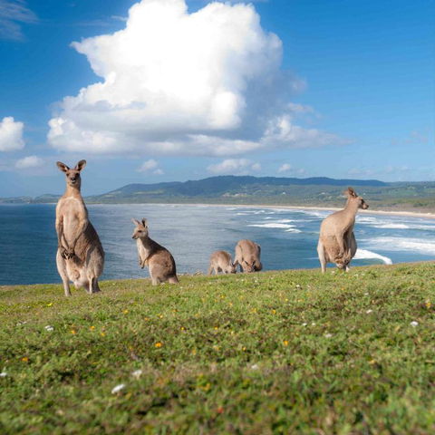 FAMILY ISLAND GETAWAY BEACHFRONT APARTMENT - Accommodation Burleigh 4