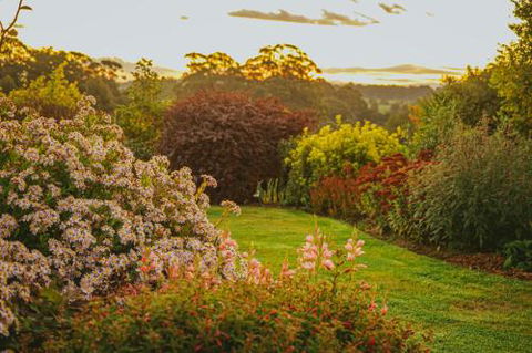 Hillcrest - Accommodation Burleigh 1