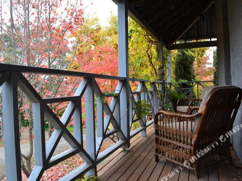 Beechworth 4a Albert Road - Accommodation Burleigh 6