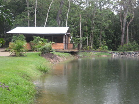 Rainforest Ranch - Accommodation Burleigh 0
