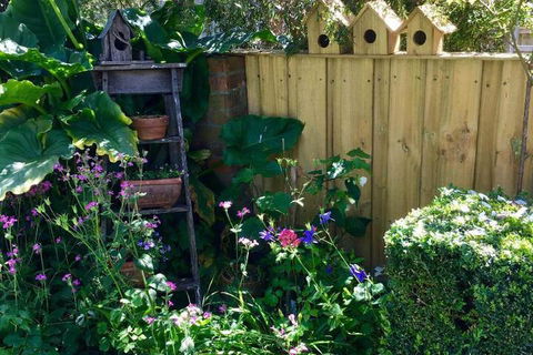 Aggies Bed & Breakfast - Accommodation Burleigh 7
