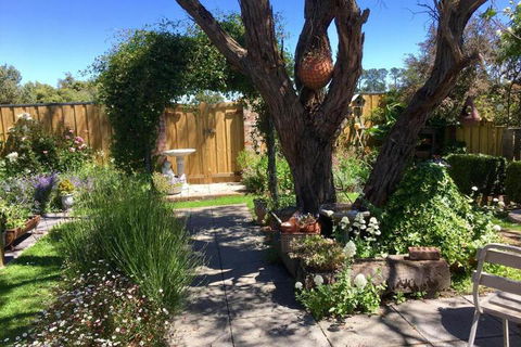 Aggies Bed & Breakfast - Accommodation Burleigh 5