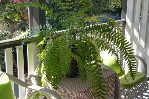 Elindale House Bed & Breakfast - Accommodation Burleigh 4