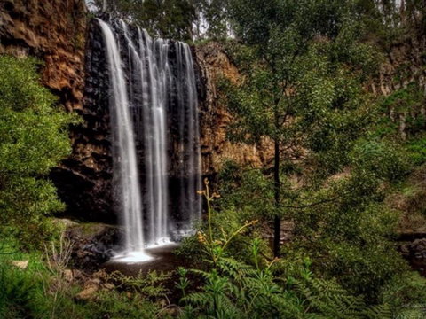Hudson On Wombat - Accommodation Burleigh 3