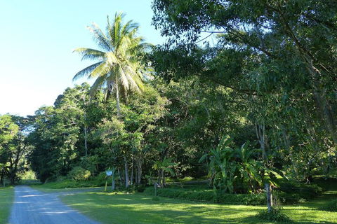 Daintree Valley Haven - Accommodation Burleigh 1