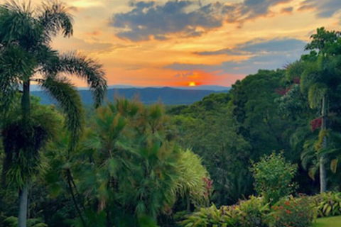 Daintree Manor Bed & Breakfast - Accommodation Burleigh 0