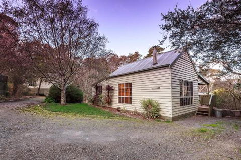 Forest Ave Cottages - Accommodation Burleigh 6