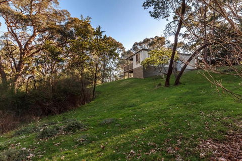 Forest Ave Cottages - Accommodation Burleigh 3