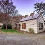 Forest Ave Cottages - Accommodation Burleigh 0