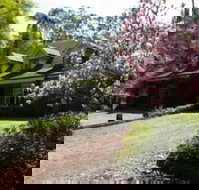 Curtis Falls Apartment