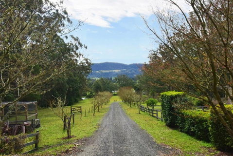 Maple Cottage - Accommodation Burleigh 6