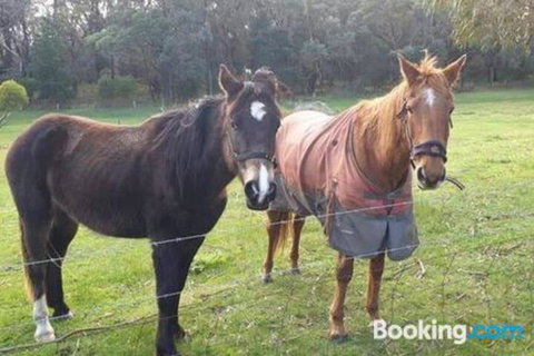 Heritage Bed & Breakfast - Accommodation Burleigh 3