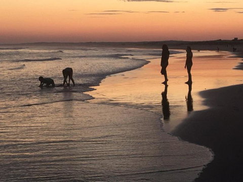 Cromarty Cottage 900m From Birubi Beach - Accommodation Burleigh 6
