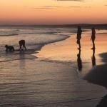 Cromarty Cottage 900m From Birubi Beach - Accommodation Burleigh 0