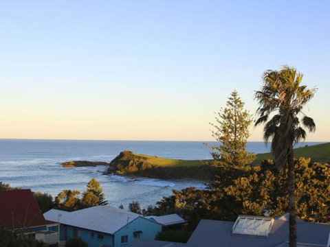 WHALE WATCH FOR FOUR Gerringong 4pm Check Out Sundays - Accommodation Burleigh 3