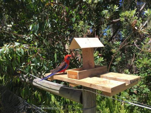 Rosella Cottage Waratah Bay - Accommodation Burleigh 1