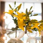 KUI Manhattan Apartments - Accommodation Burleigh 0