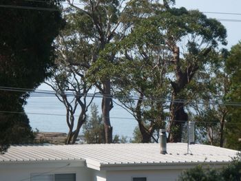Bawley Break - Accommodation Burleigh 4