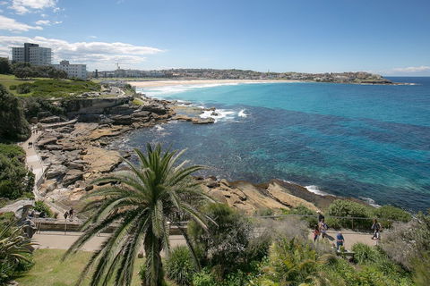 Ultimate Bondi Escape - Accommodation Burleigh 4