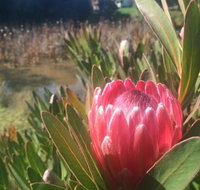 Creswick Cabin Retreat