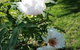 Wisteria Lodge - thumb 3