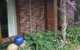 Wisteria Lodge - thumb 4